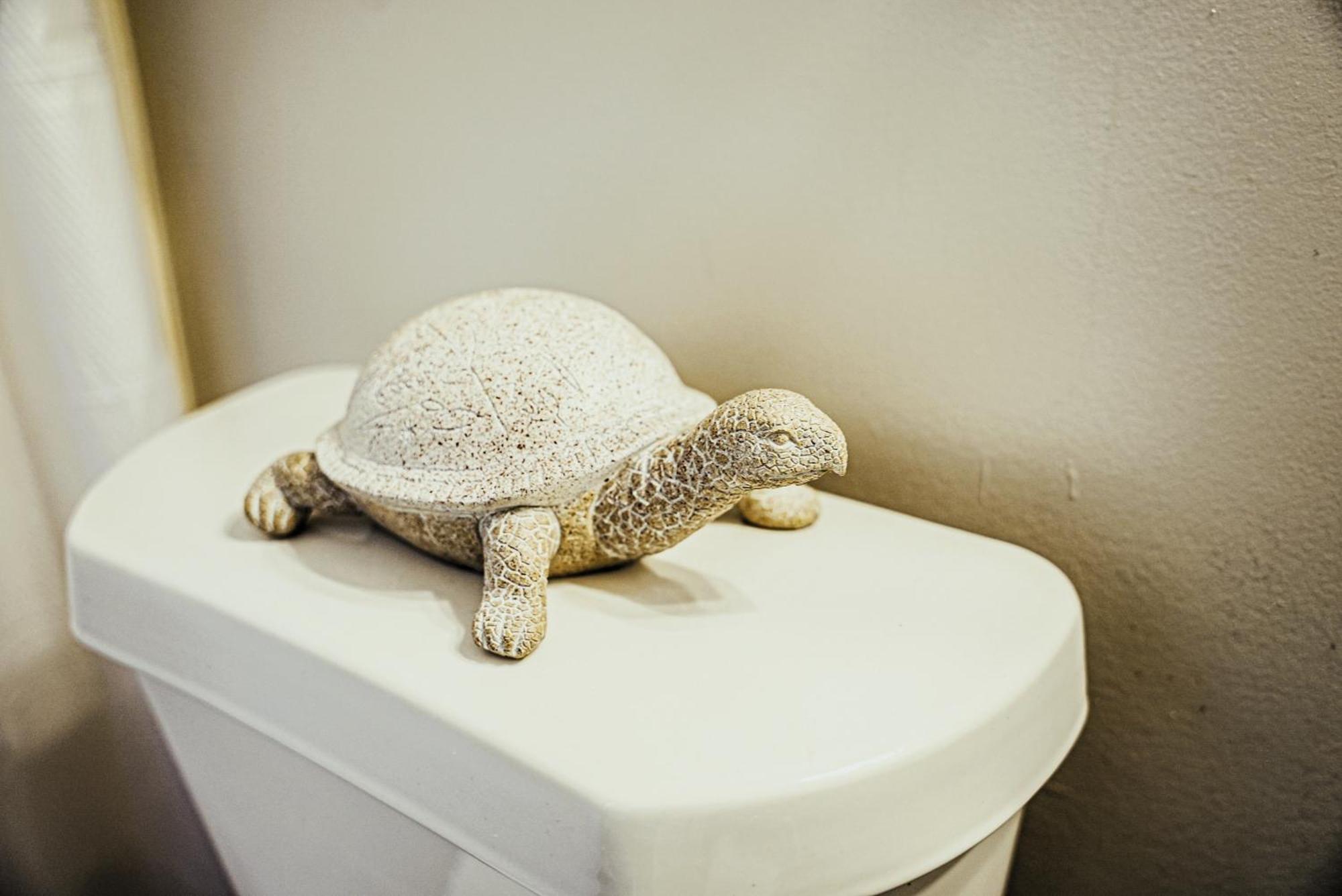 Stylish Cozi Abode Of Atlantaヴィラ エクステリア 写真
